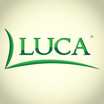 LUCA GLOBAL GROUP SRL